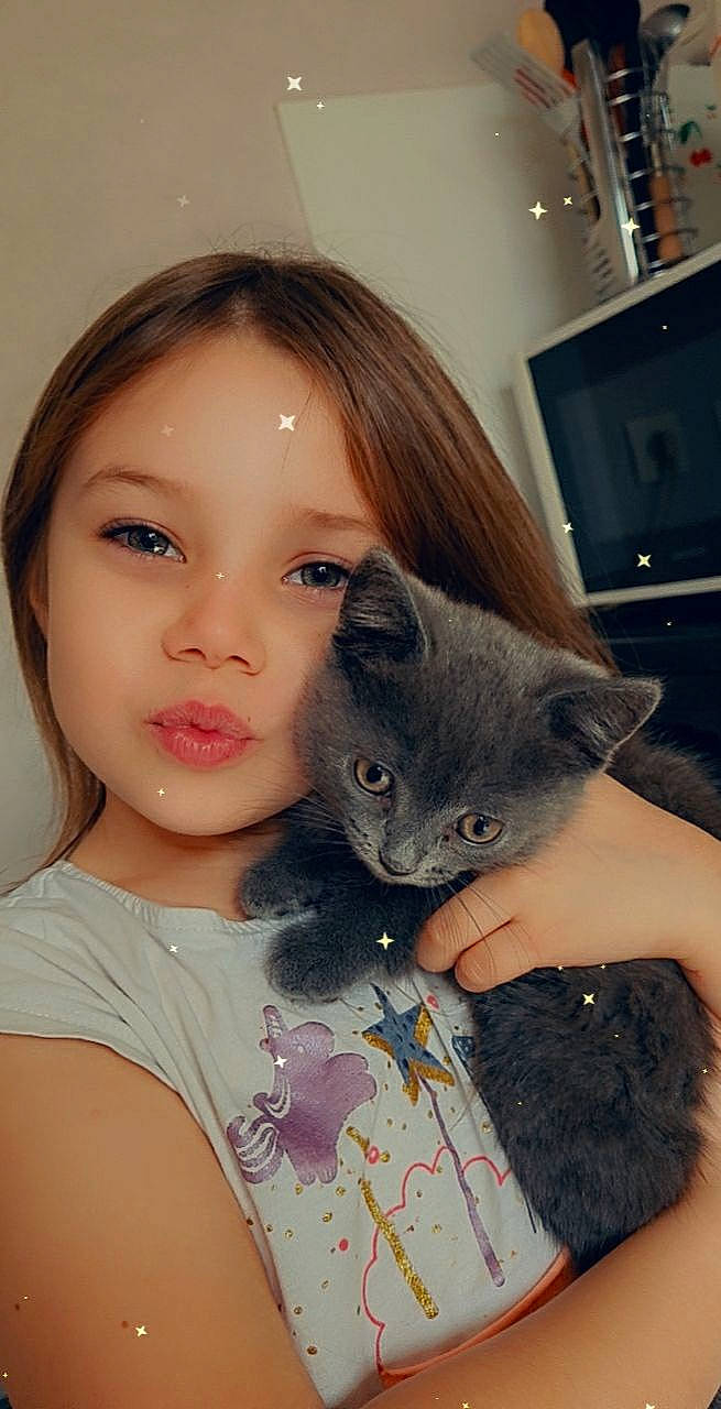 Léna a rejoint le concours — aidez-le/la à gagner de superbes lots ! black_hair, carnivore, cat, chartreux, cheek, domestic_short_haired_cat, ear, eye, felidae, fur, iris, kitten, korat, nose, person, russian_blue, selfie, skin, small_to_medium_sized_cats, snout