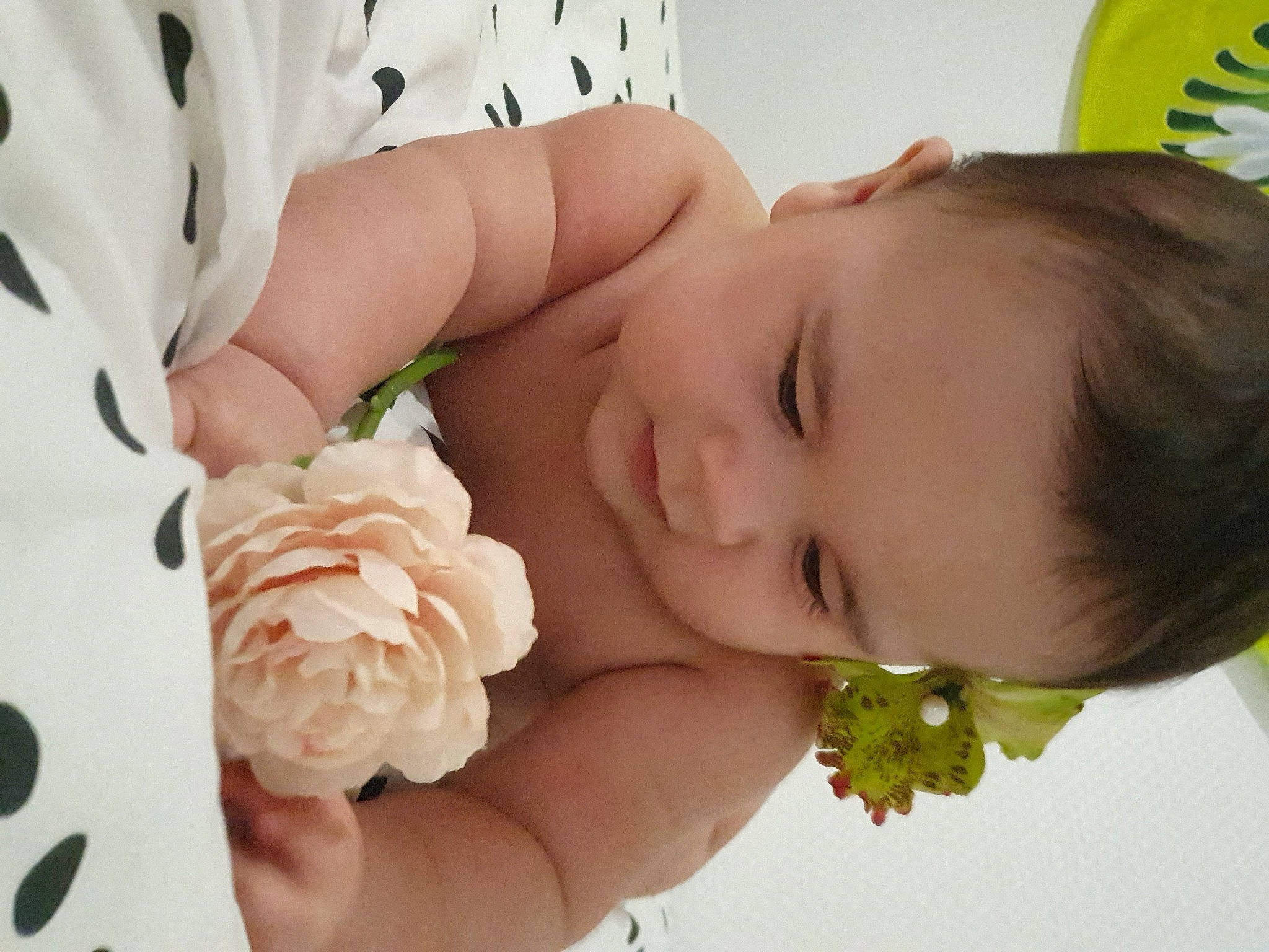 Taoahere a rejoint le concours — aidez-le/la à gagner de superbes lots ! arm, baby, baby_sleeping, baby_toddler_clothing, cheek, eyelash, finger, flower, gesture, hand, happy, nail, nose, person, petal, plant, rose, skin, thumb, toddler