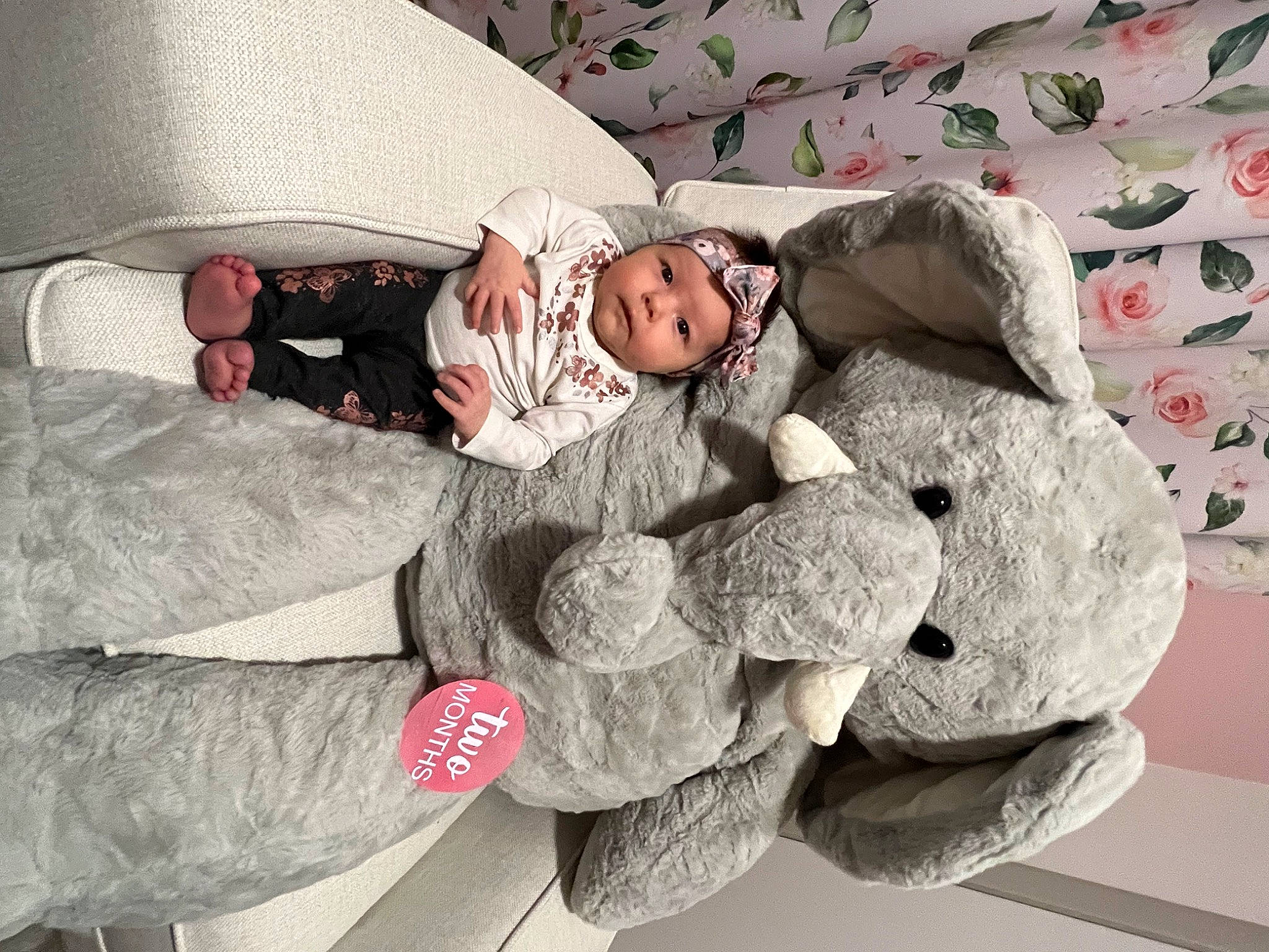Madelyn is registered to the contest to win money with this photo: baby, baby_products, baby_sleeping, baby_toddler_clothing, bedding, carmine, child, comfort, couch, fur, grey, headwear, linens, pattern, person, room, sleeve, stuffed_toy, textile, toddler