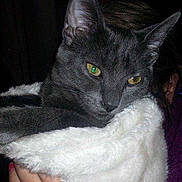 Prince Caspian is registered to the contest to win money with this photo: