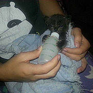 Prince Caspian is registered to the contest to win money with this photo: