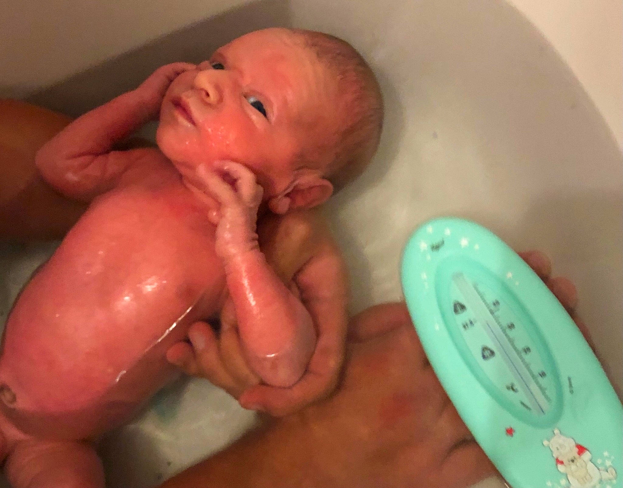 Bradley a rejoint le concours — aidez-le/la à gagner de superbes lots ! baby, baby_bathing, bathing, bathtub, birth, child, mouth, muscle, person, stomach, washing