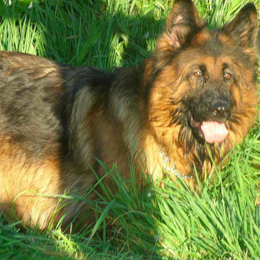 E'cheyenne participe au concours pour gagner de l'argent avec cette photo :