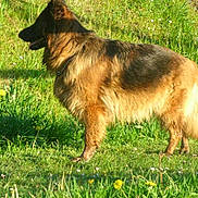 E'cheyenne participe au concours pour gagner de l'argent avec cette photo :