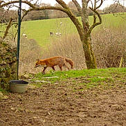 Voisin R?gulier participe au concours pour gagner de l'argent avec cette photo :