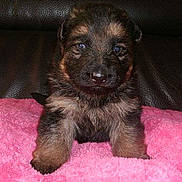 June a rejoint le concours — aidez-le/la à gagner de superbes lots !