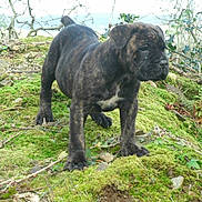 Jaya participe au concours pour gagner de l'argent avec cette photo :