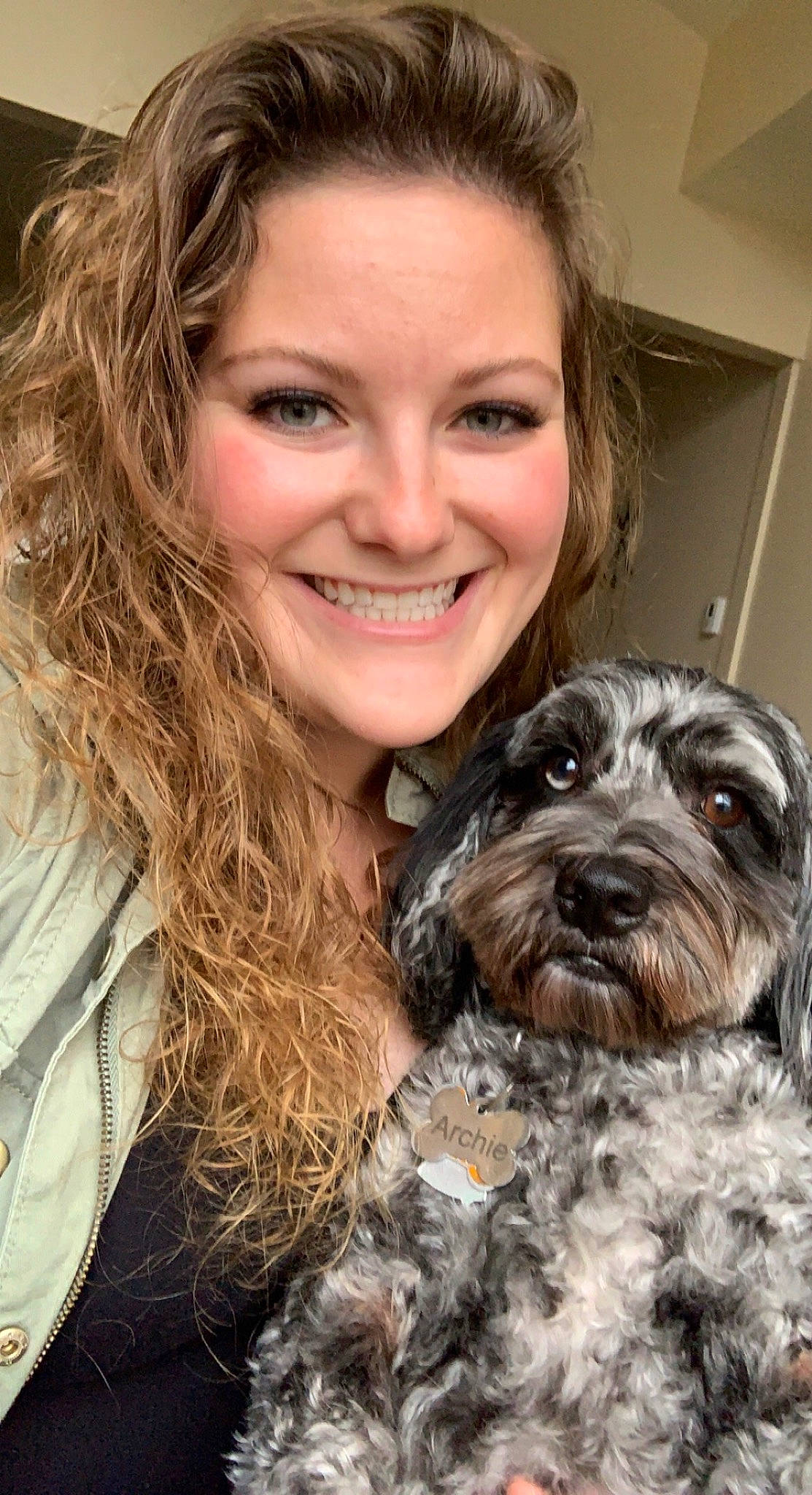 Archie is registered to the contest to win money with this photo: brown_hair, canidae, carnivore, companion_dog, dog, dog_breed, fur, hair, happy, iris, liver, puppy_love, small_terrier, smile, snout, sporting_group, terrier, toy_dog, water_dog, working_animal