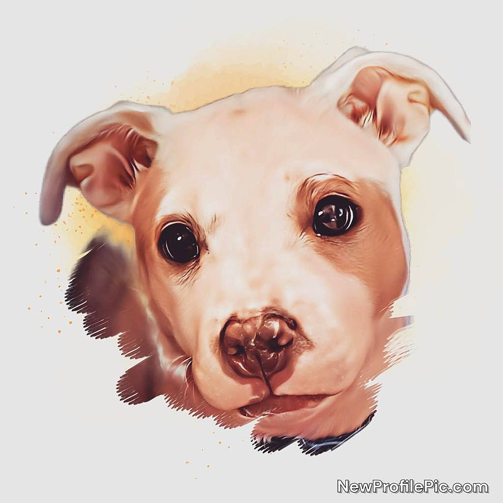 Cooper is registered to the contest to win money with this photo: animal_figure, art, canidae, carnivore, dog_breed, drawing, fawn, graphics, illustration, liver, livestock, non_sporting_group, painting, saving, snout, suidae, terrestrial_animal, working_animal