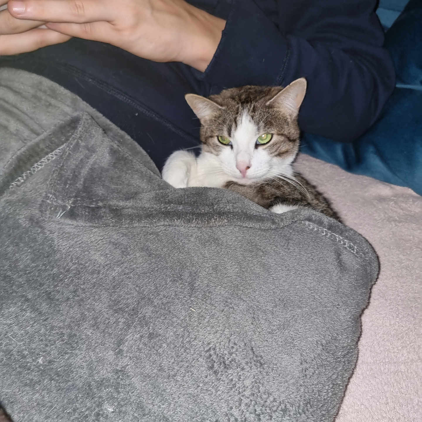 Coco