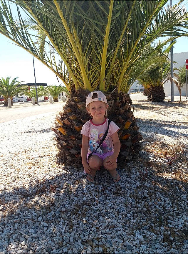 Louanne participe au concours pour gagner de l'argent avec cette photo : adaptation, arecales, attalea_speciosa, botany, date_palm, elaeis, fruit, fun, headwear, joy, leisure, palm_tree, person, plant, smile, terrestrial_plant, tourism, tree, vacation, woody_plant