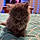 Lint Ball