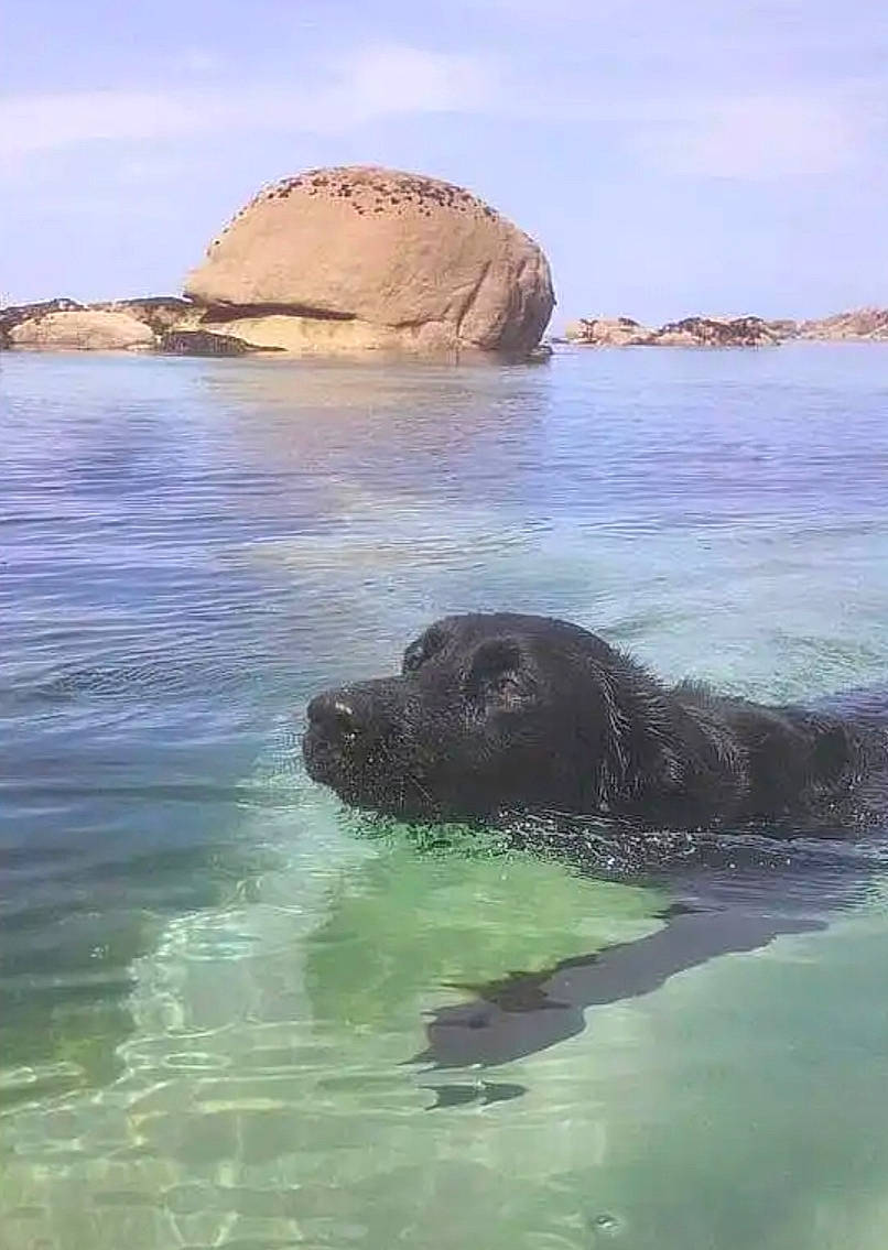 Pandora a rejoint le concours — aidez-le/la à gagner de superbes lots ! beach, calm, carnivore, cloud, coast, coastal_and_oceanic_landforms, formation, headland, horizon, lake, landscape, rock, shore, sky, sporting_group, water, water_resources, watercourse, wilderness, wind_wave