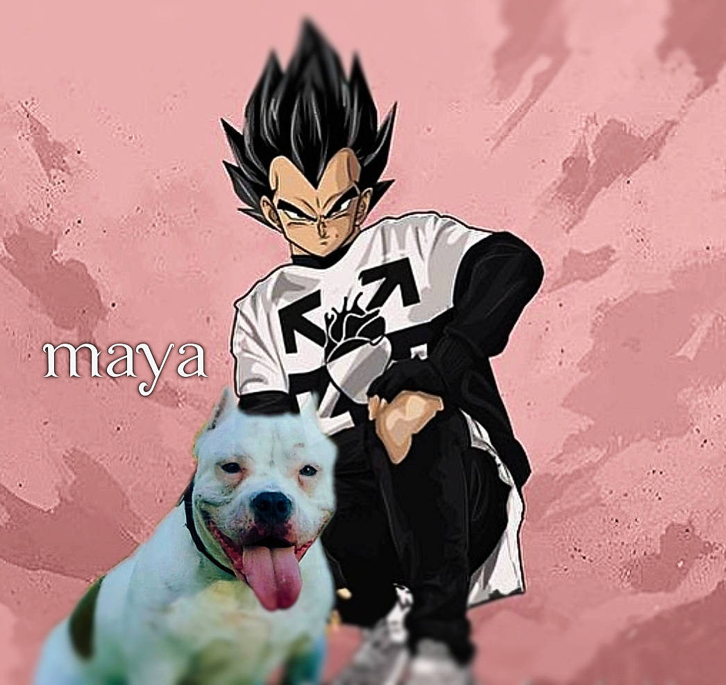 Maya American Bully Abkc participe au concours pour gagner de l'argent avec cette photo : anime, art, artwork, bulldog, canidae, cartoon, fictional_character, graphic_design, guard_dog, illustration, non_sporting_group