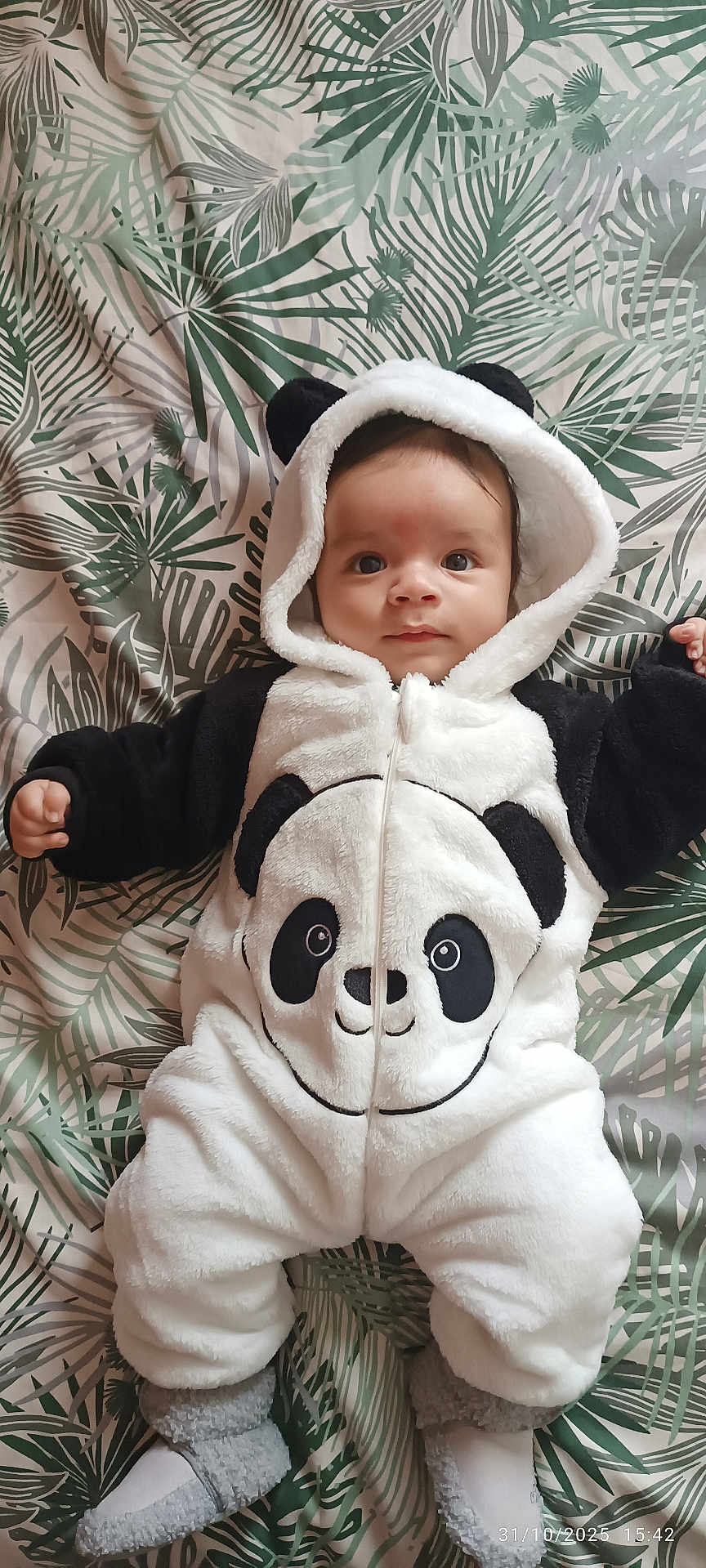 Khalid a rejoint le concours — aidez-le/la à gagner de superbes lots ! baby, panda_onesie, infant, child, cute, costume, hood, blanket, pattern, leafy, soft, footwear, lying_down, portrait, indoors, warm_clothing, smiling, face, young_child, cozy