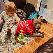 Caliber joined the competition — help win amazing prizes! backpack, cabinet, carpet, dog, floor, holiday_sweater, home, interaction, leather_sofa, living_room, pajamas, pet, playtime, red_sweater, rug, slippers, television, toddler, toy, wood_floor