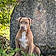 Athena