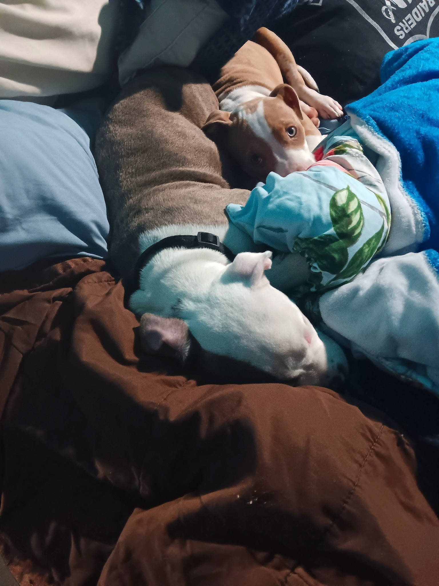 Emmie joined the competition — help win amazing prizes! baby, bedding, bedtime, blanket, child, comfort, event, human_leg, linens, nap, room, sitting, sleep, tints_and_shades, tree