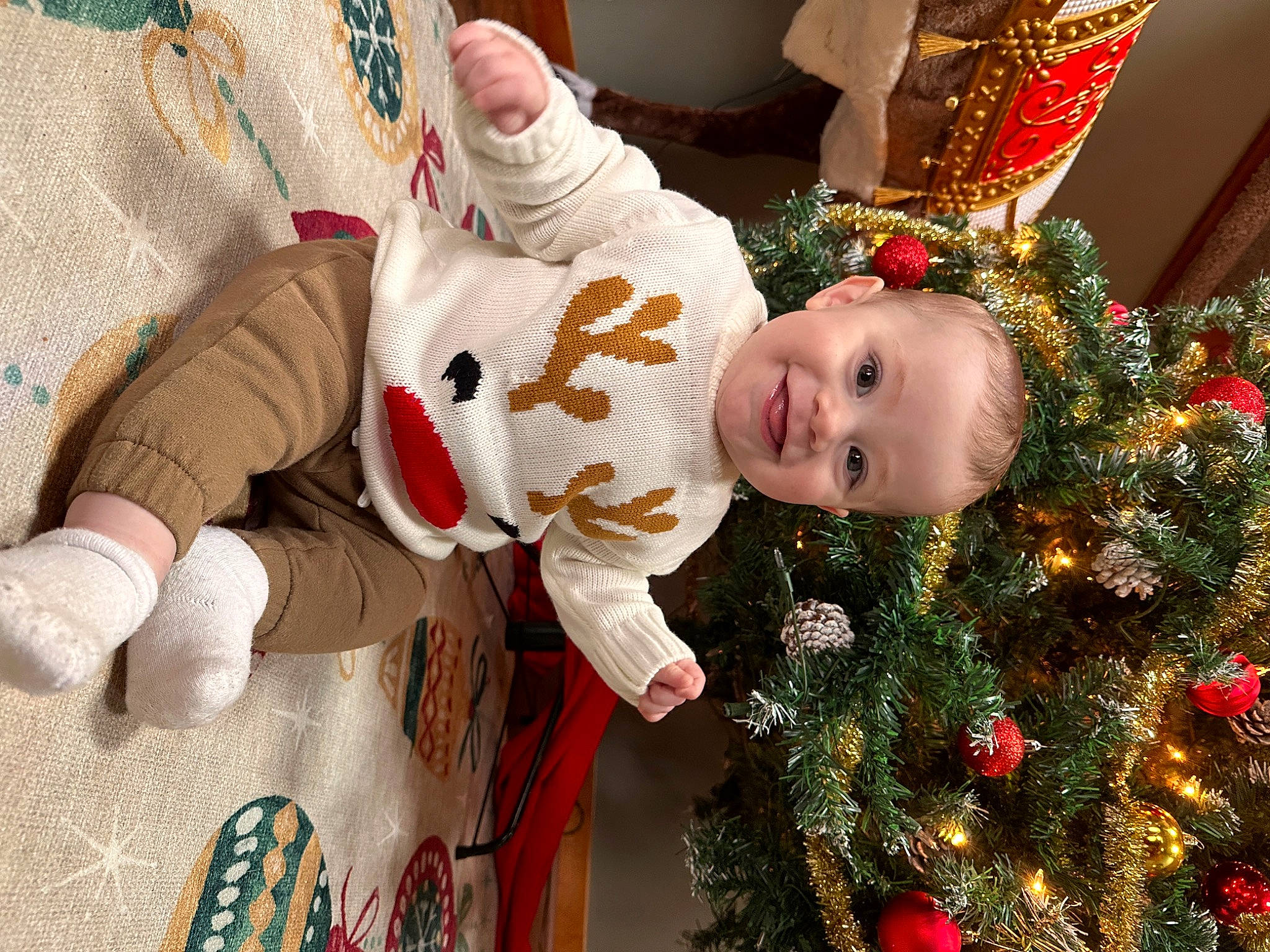 Sterling joined the competition — help win amazing prizes! baby, child, christmas, christmas_decoration, christmas_eve, christmas_ornament, christmas_tree, conifer, event, evergreen, happy, holiday, holiday_ornament, joy, lap, ornament, person, plant, room, toddler