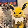 Baby joined the competition — help win amazing prizes! cat, plush_toy, jolteon, indoor, feline, stuffed_animal, pet, sitting, table, decor, wall_art, cute, companion, animal, toy, cozy, friendship, portrait, furry, domestic