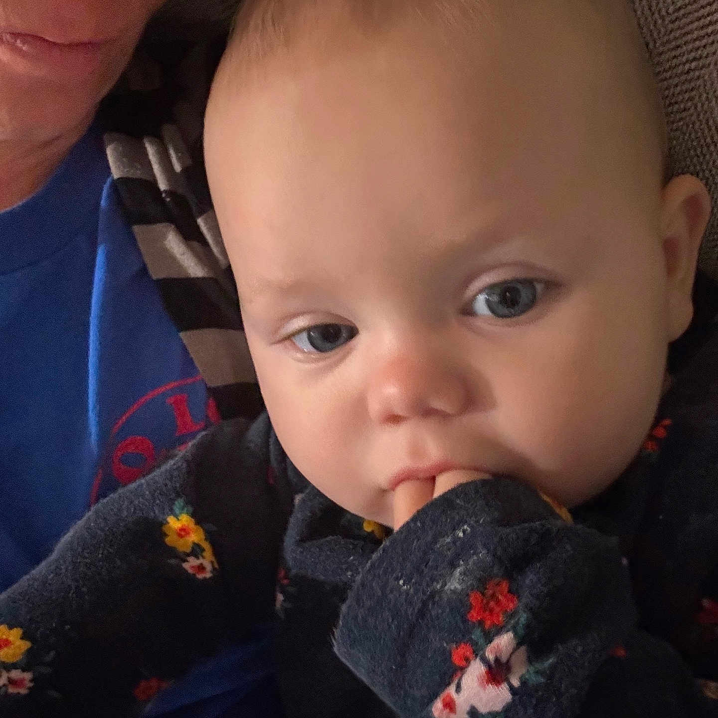 Gemia is registered to the contest to win money with this photo: adult, baby, blue_eyes, candid, child, close_up, clothing, comfort, expression, face, floral_pattern, glasses, hand, human, indoor, person, portrait, skin, soft_light, sweater