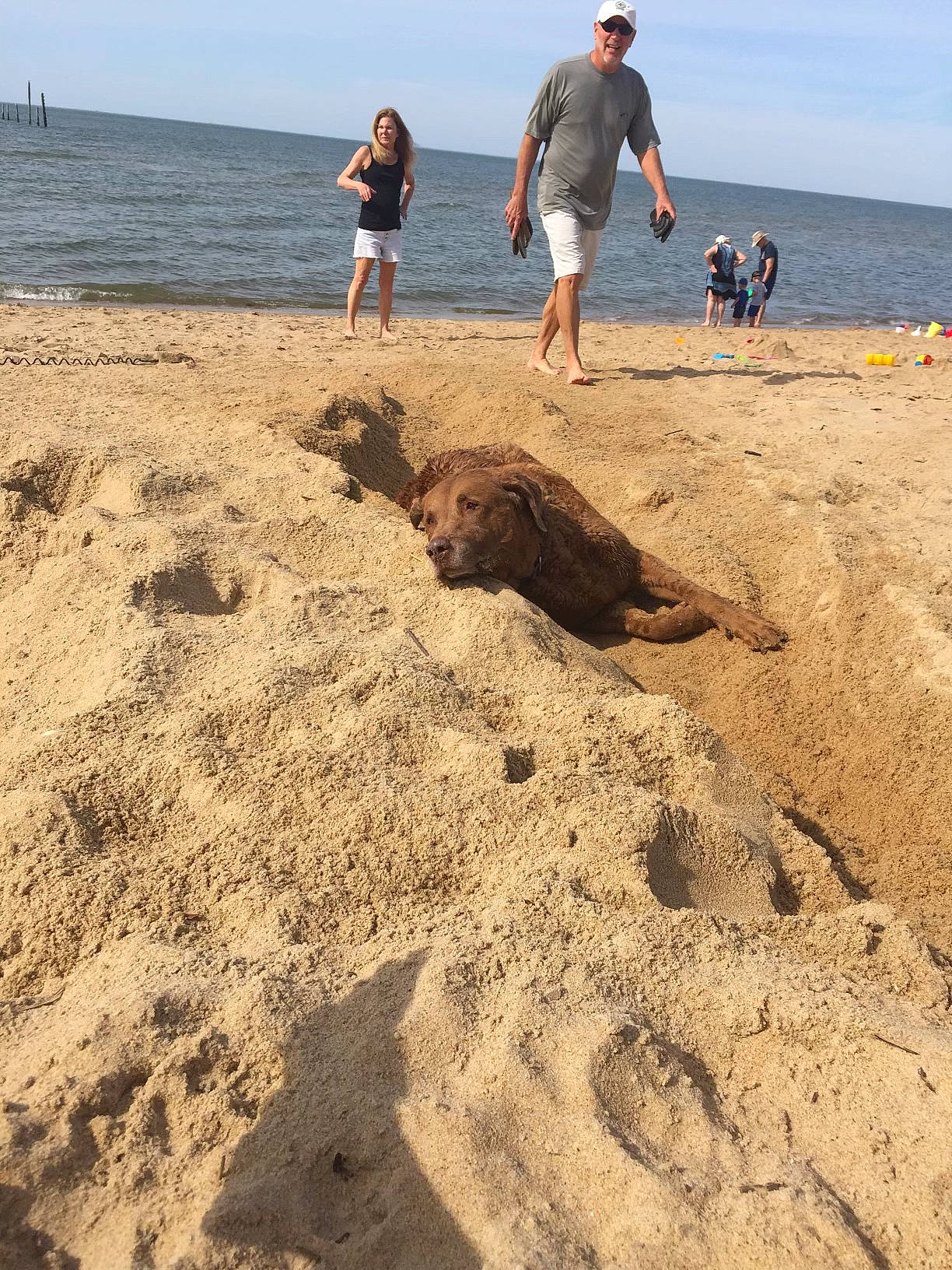 Bailey joined the competition — help win amazing prizes! barefoot, beach, cloud, coast, foot, fun, horizon, landscape, leisure, people_in_nature, people_on_beach, rock, sand, shorts, sky, soil, t_shirt, travel, water, wind_wave