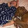 Zoey is registered to the contest to win money with this photo: animal, baby, bed, blanket, bond, brown_dog, child, comfort, cozy, cute, dog, indoor, infant, nap, pacifier, pillow, resting, sleeping, soft, toy