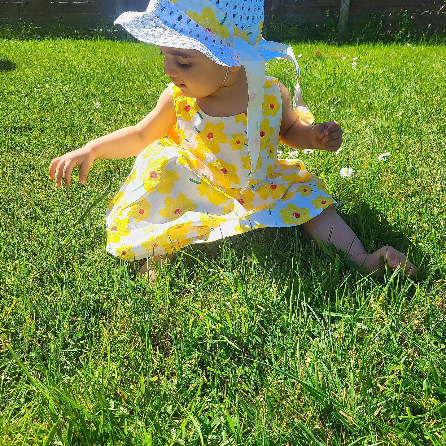 Zendaya participe au concours pour gagner de l'argent avec cette photo : toddler, child, grass, outdoor, sunhat, dress, yellow_flower, greenery, summer, nature, garden, sunlight, barefoot, curious, sitting, fence, daylight, playful, person, portrait