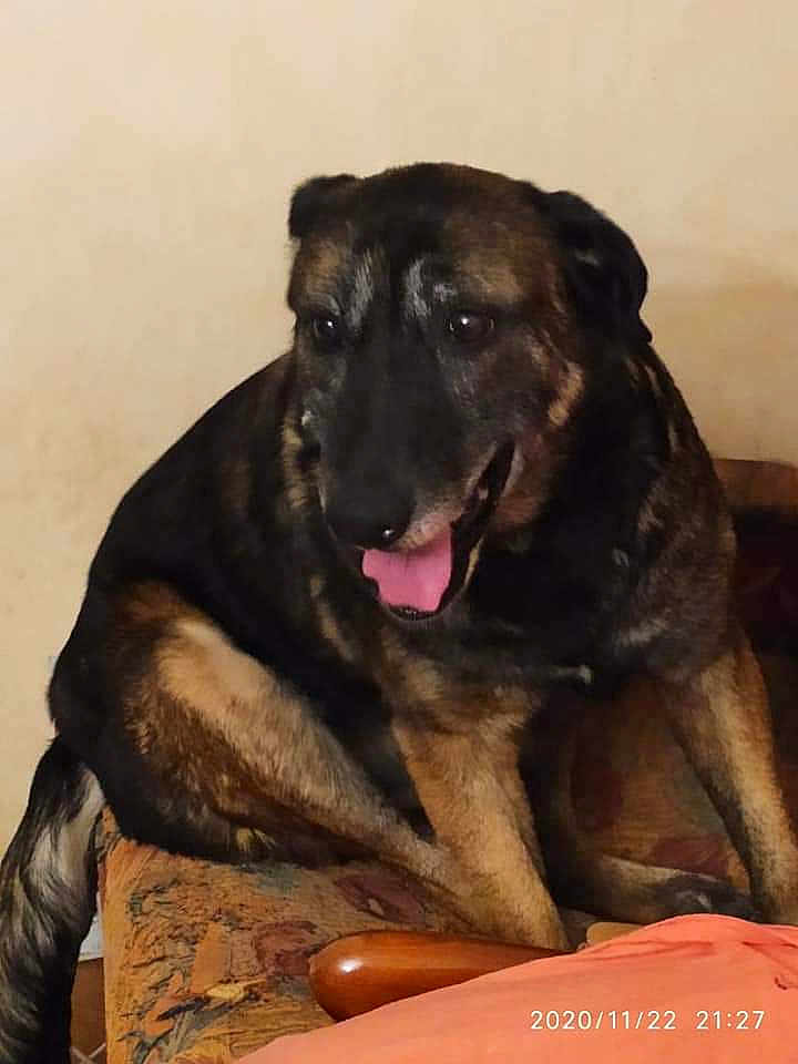 Gina