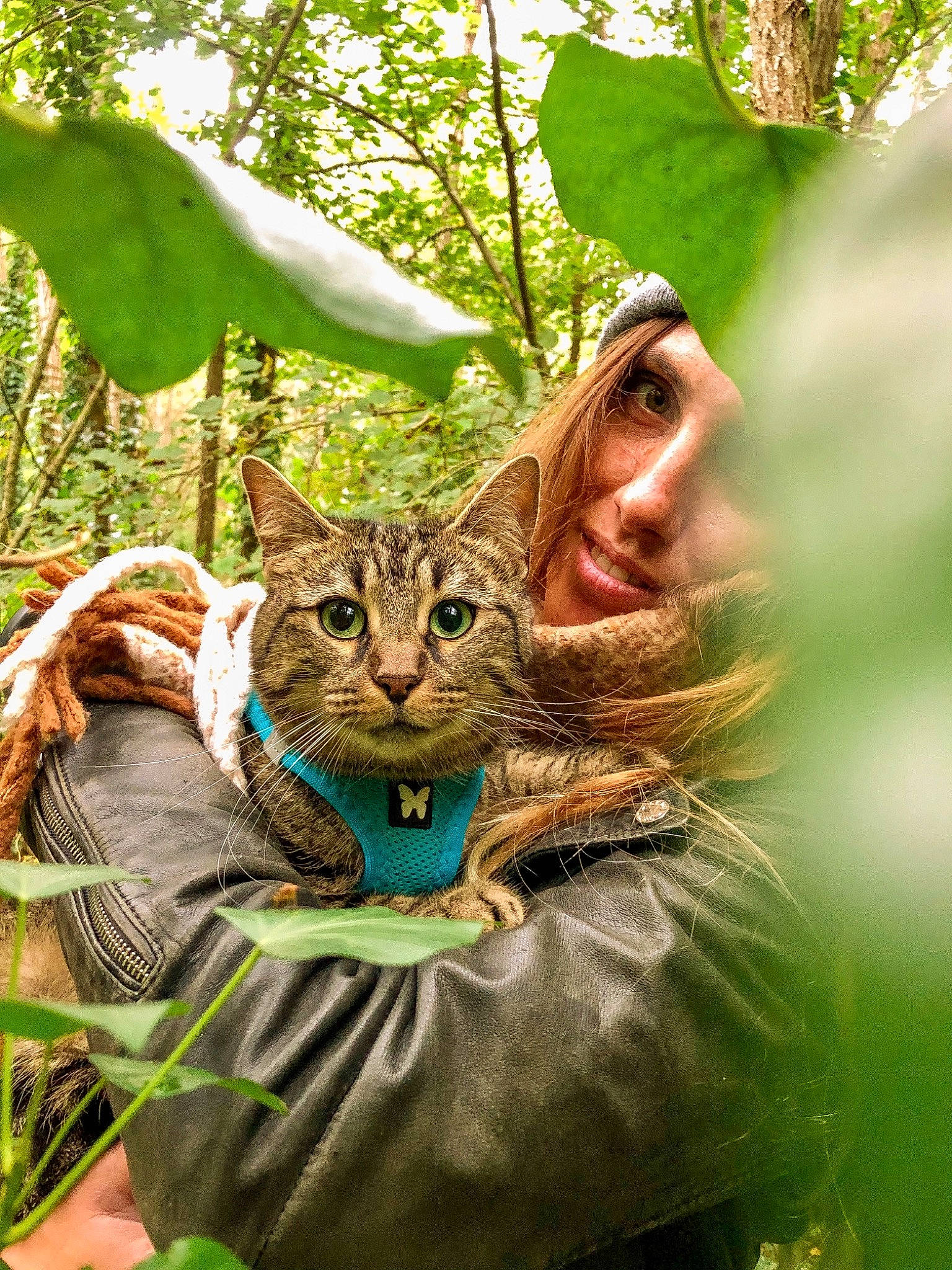 Zénith participe au concours pour gagner de l'argent avec cette photo : branch, carnivore, cat, domestic_short_haired_cat, fawn, felidae, forest, fur, grass, mammal, organism, people_in_nature, plant, small_to_medium_sized_cats, snout, tail, tree, trunk, vertebrate, whiskers