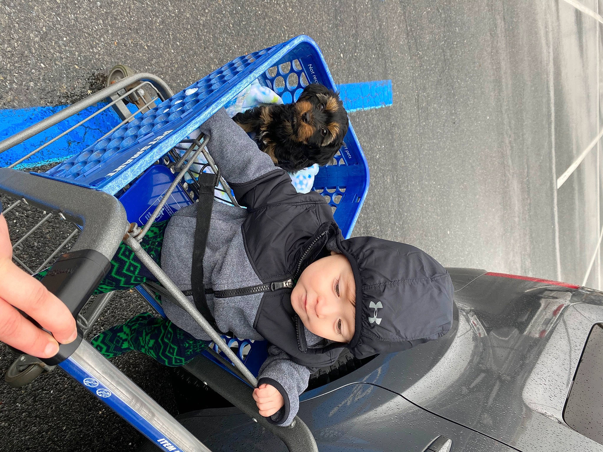 Coco Smith joined the competition — help win amazing prizes! product, vehicle