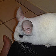 Mino participe au concours pour gagner de l'argent avec cette photo :