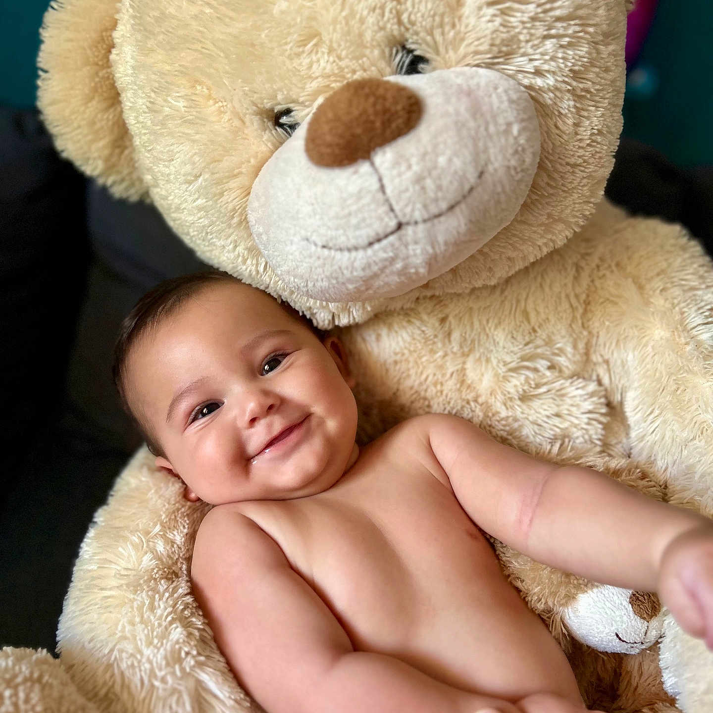 Keiméo participe au concours pour gagner de l'argent avec cette photo : arms, baby, child, close_up, comfort, cuddly, cute, diaper, face, happy, indoor, infant, person, plush, portrait, skin, smiling, soft_texture, teddy_bear, toy