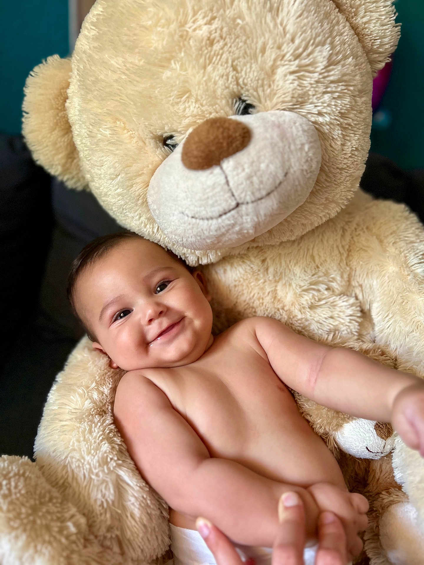Keiméo participe au concours pour gagner de l'argent avec cette photo : arms, baby, child, close_up, comfort, cuddly, cute, diaper, face, happy, indoor, infant, person, plush, portrait, skin, smiling, soft_texture, teddy_bear, toy