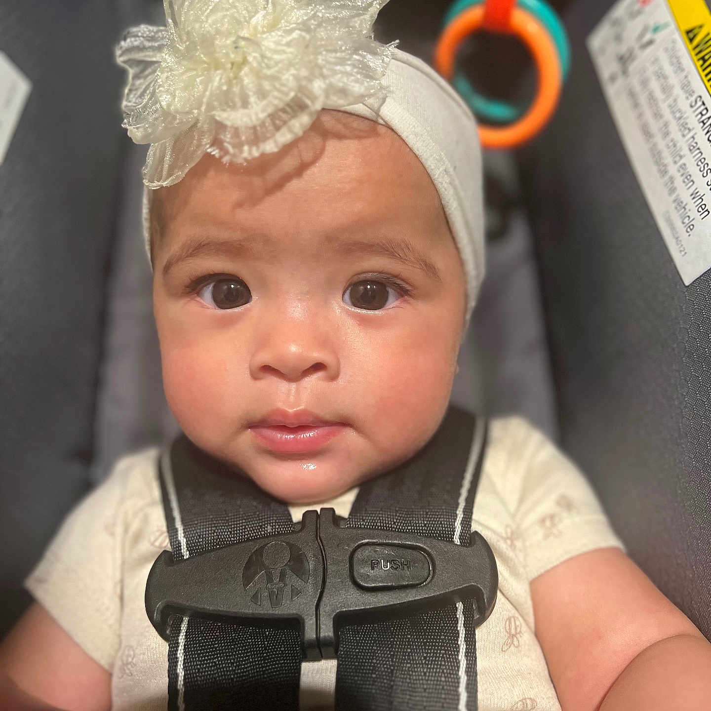 Isalei joined the competition — help win amazing prizes! baby, baby_girl, car_seat, child, close_up, clothing, cute, eyes, face, flower, harness, headband, indoor, infant, portrait, sitting, skin, small_child, straps, toy