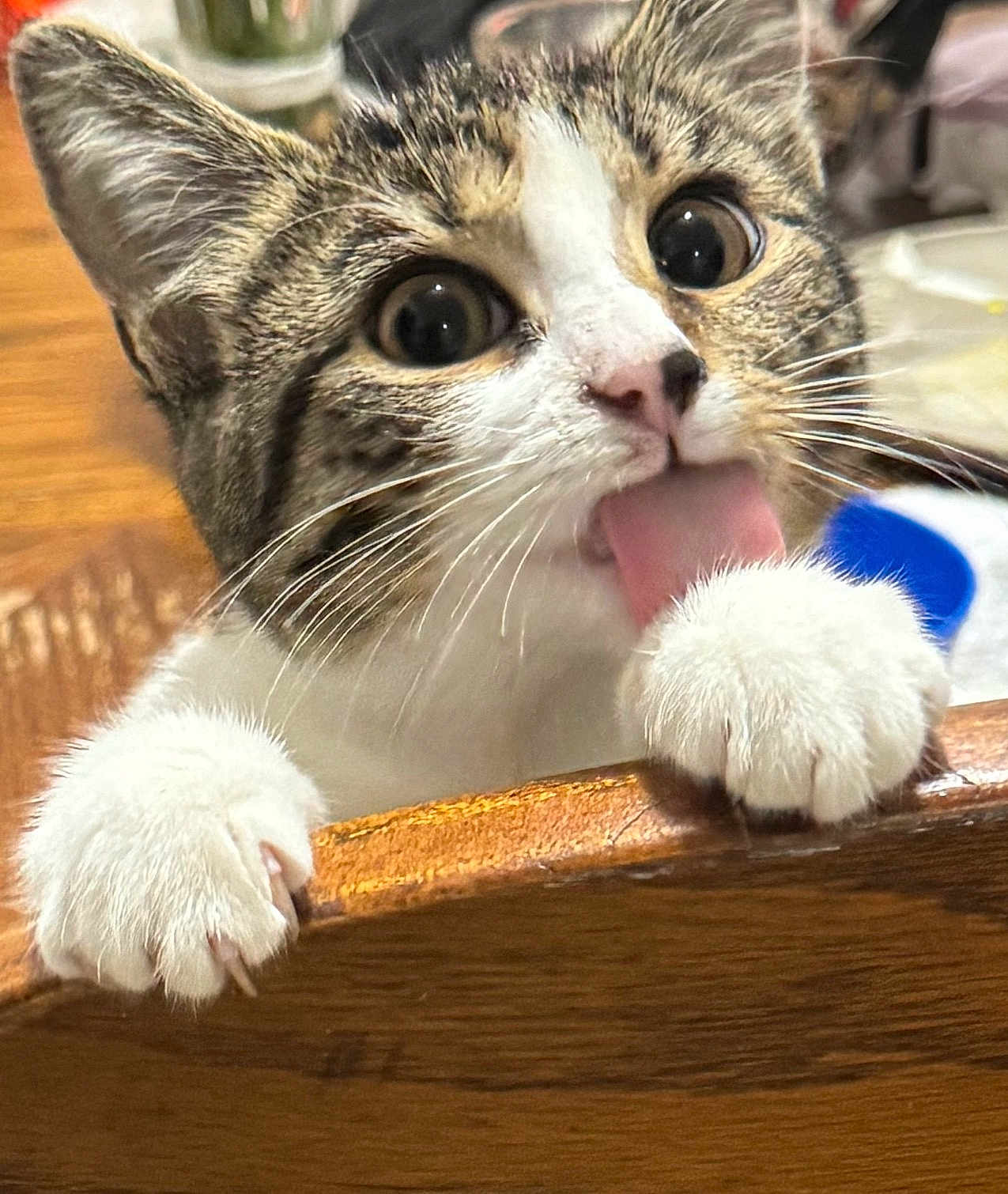 Tululumi
