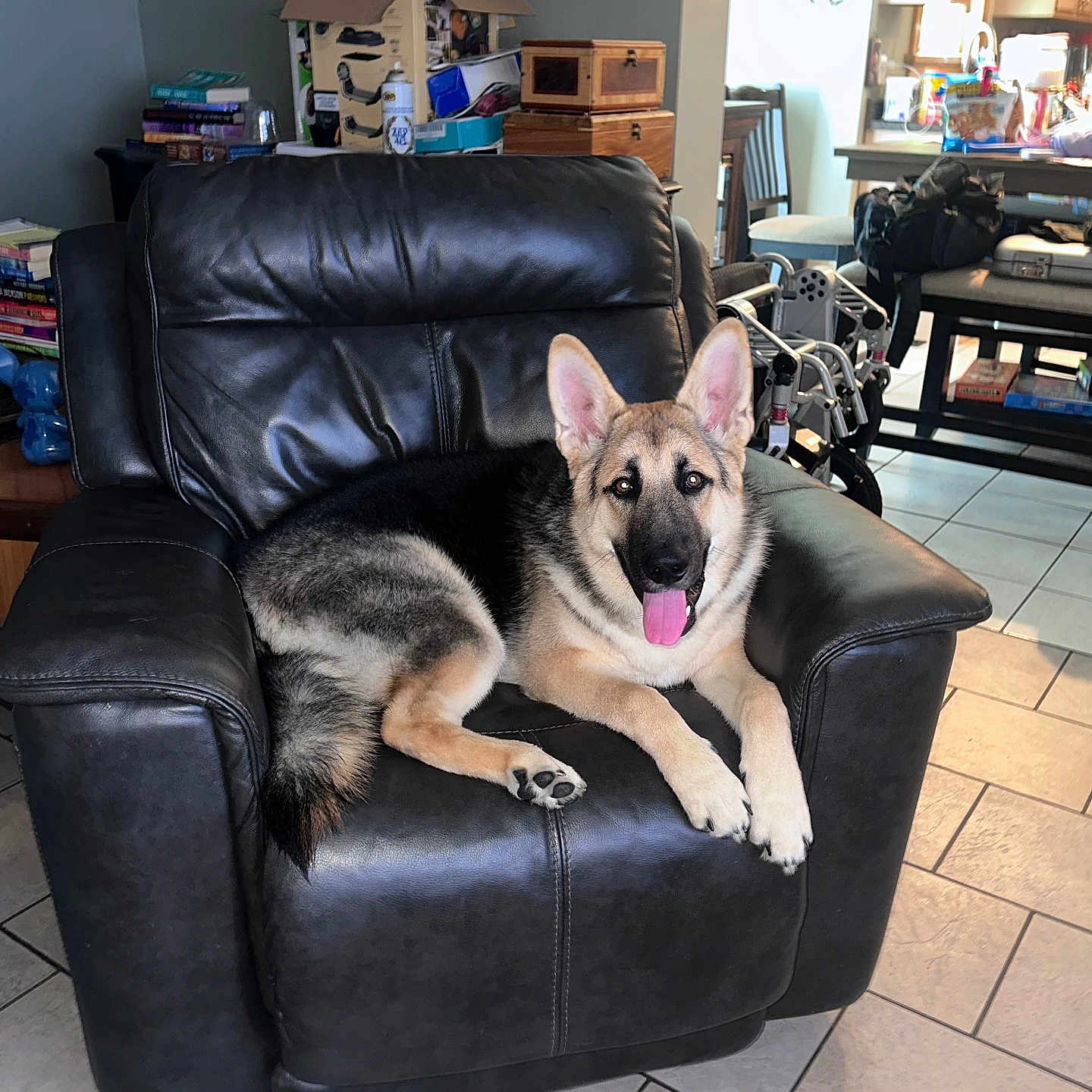Axel