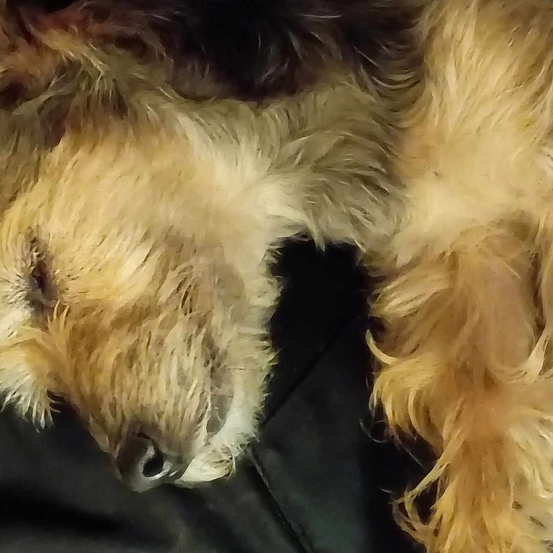Gabby