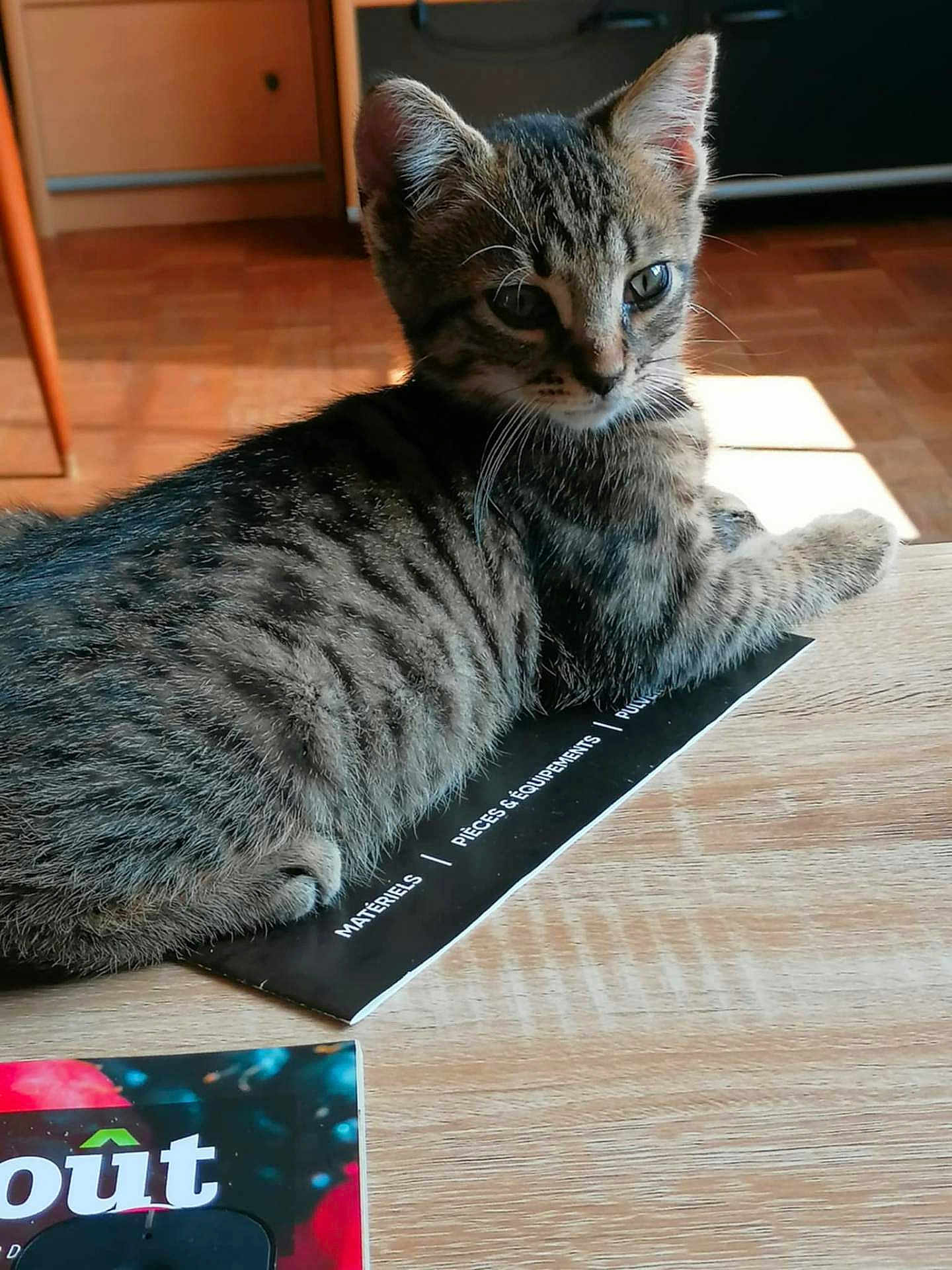 Canaillou