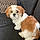 Charlie