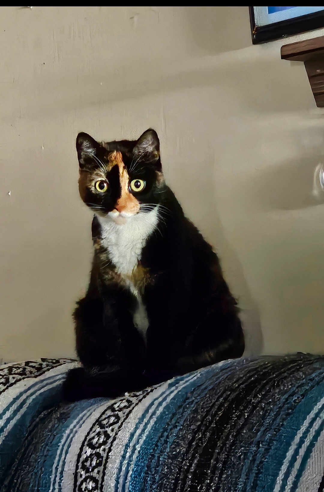 Sophie