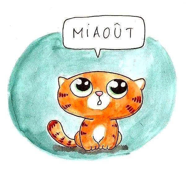 Miaou
