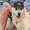dog, golden_retriever, cap, hat, person, legs, sitting, outdoor, footwear, sneakers, striped_shirt, shorts, pavement, smiling, pet, companion, casual, daytime, bench, hand