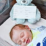 newborn, baby, sleeping, blanket, bassinet, hospital, teddy_bear, infant, cute, child, portrait, soft, peaceful, wrapped, delivery_card, face, rest, newborn_baby, hospital_bassinet, baby_boy