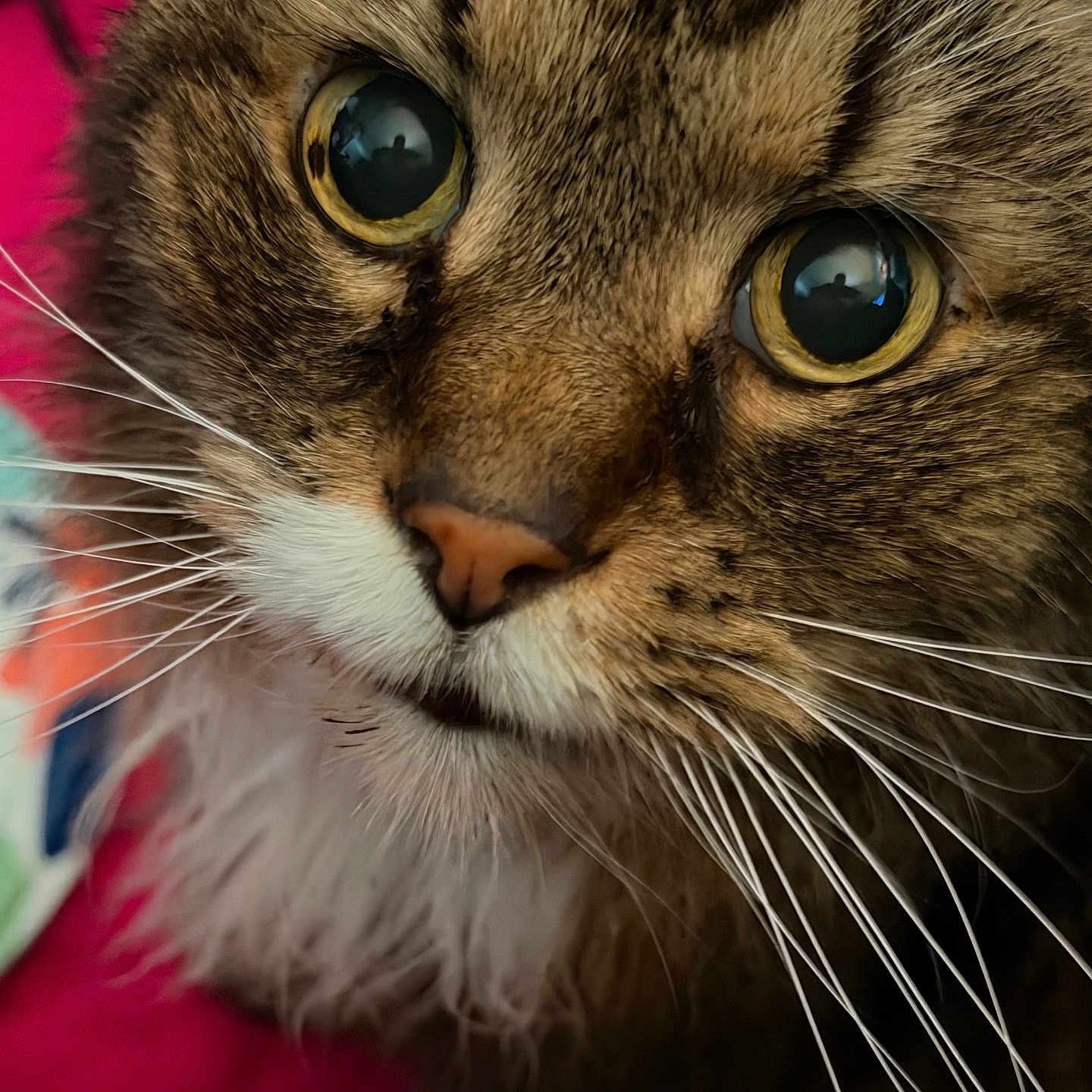 George