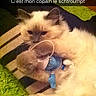 Raoul participe au concours pour gagner de l'argent avec cette photo :