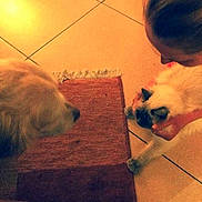 Raoul participe au concours pour gagner de l'argent avec cette photo :