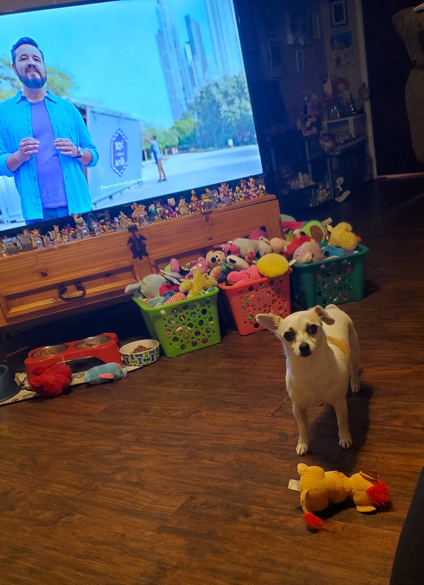 Lilah is registered to the contest to win money with this photo: canidae, carnivore, companion_dog, dog, dog_breed, fawn, floor, flooring