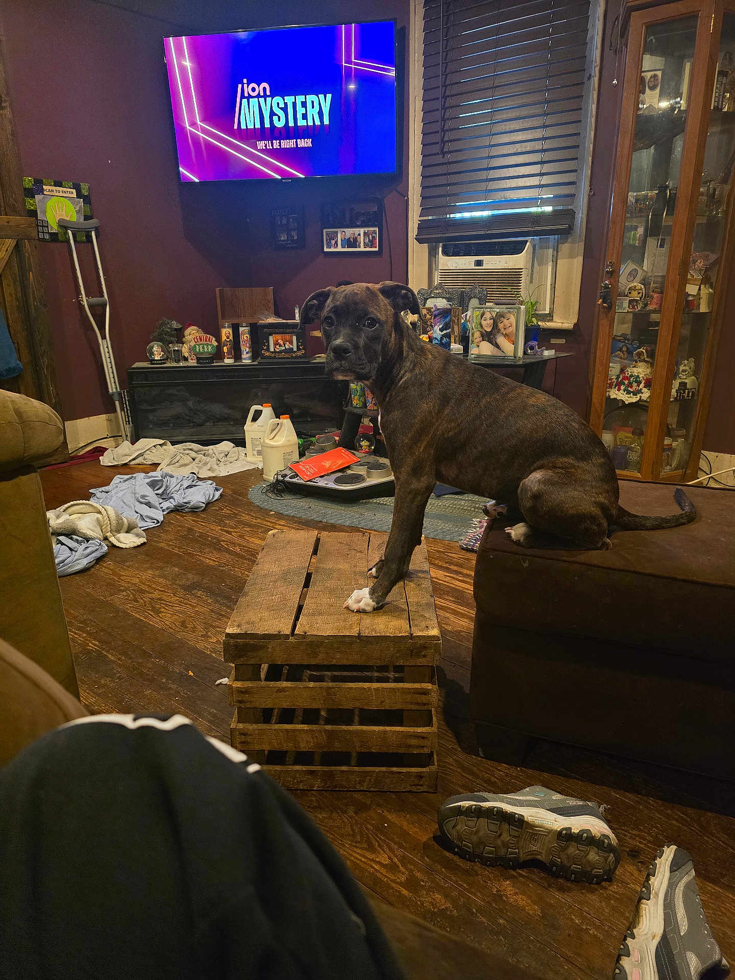 Arya