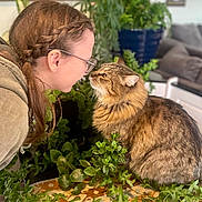 Winston is registered to the contest to win money with this photo: cat, person, braided_hair, glasses, indoor, plant, greenery, stool, tabby_cat, furniture, face, pet, curious, close_up, patterned_fabric, cozy, interaction, animal, home, portrait